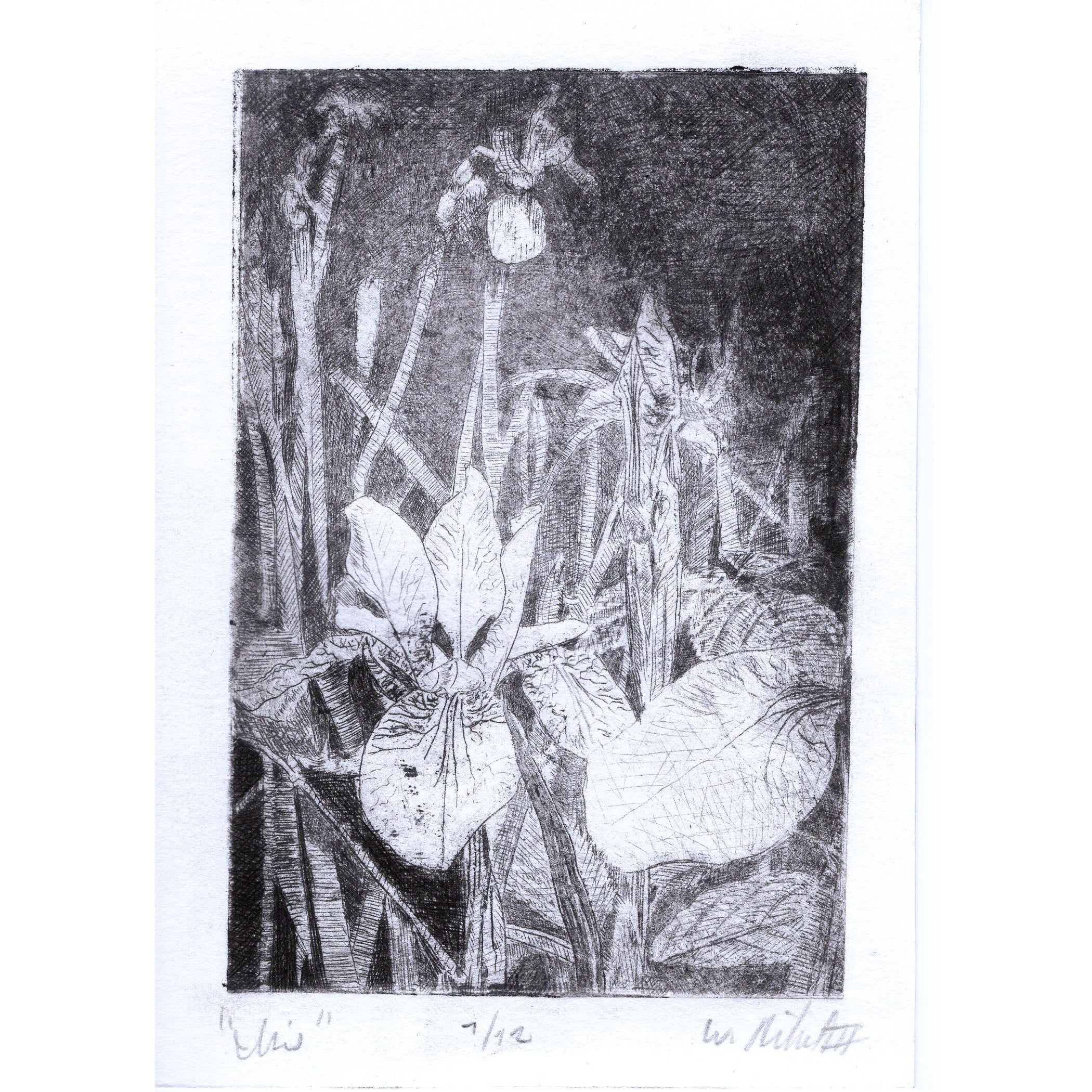 189 — William Rihel III